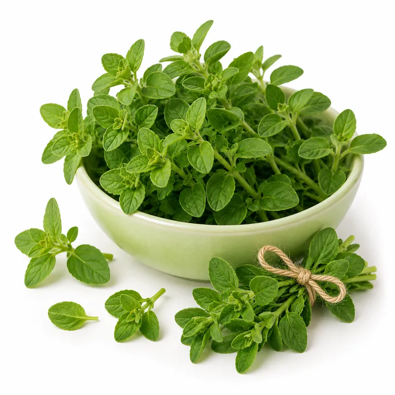 Oregano