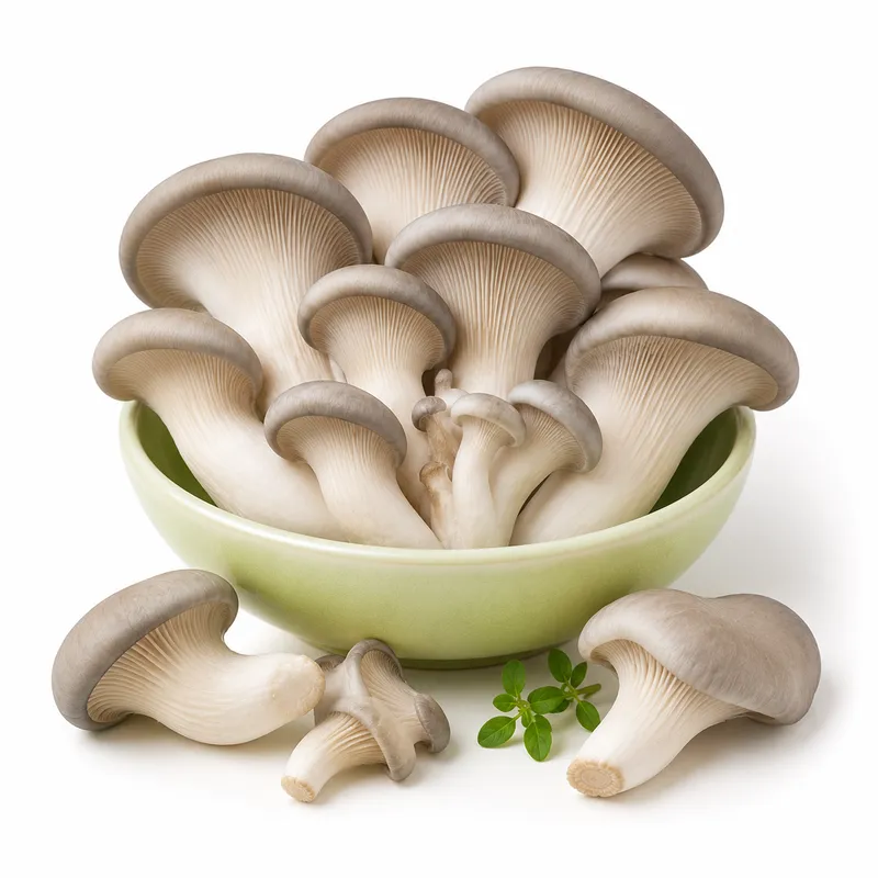 Oyster mushroom
